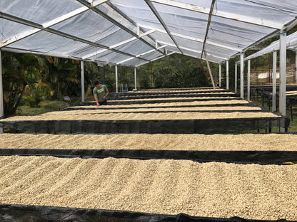 e0958cea0397a5142a5c648d7360e4e6