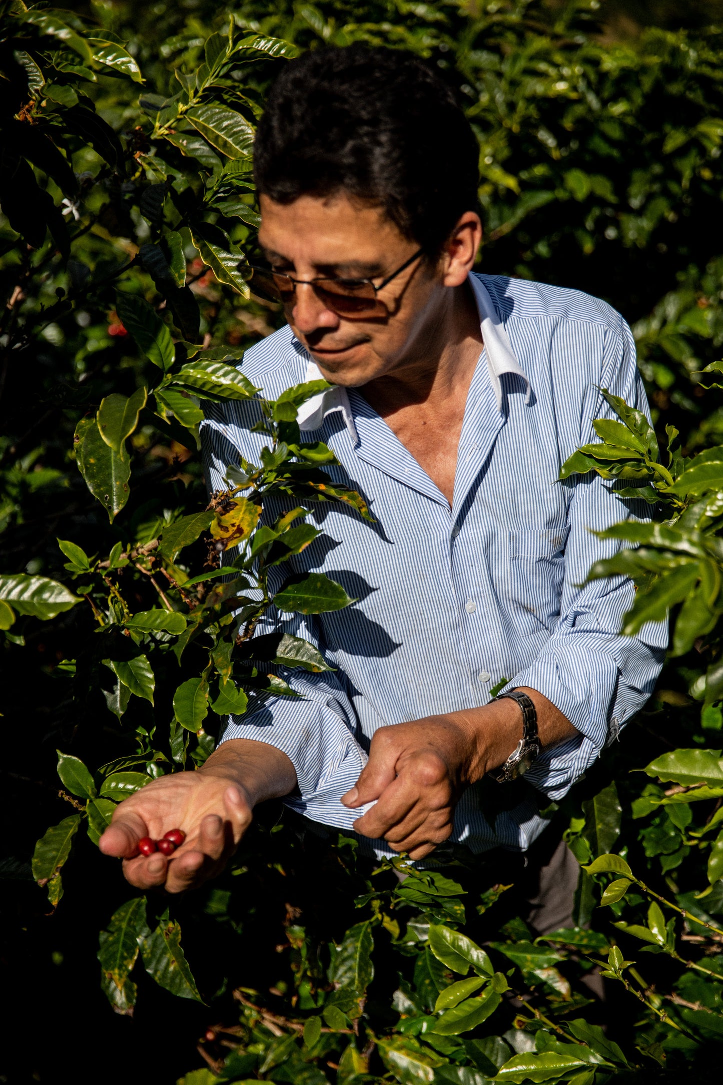 Villa Betulia Kolumbien