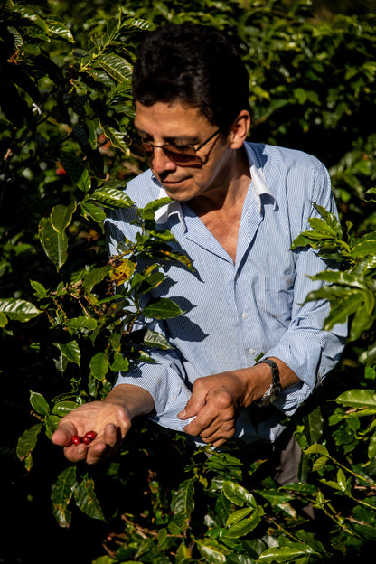 Villa Betulia Kolumbien